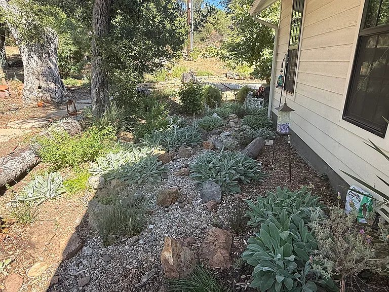 2369 Waring Dr — Photo 7