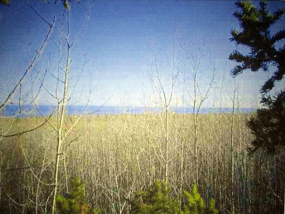 1st image of Xxxx Fall River Road