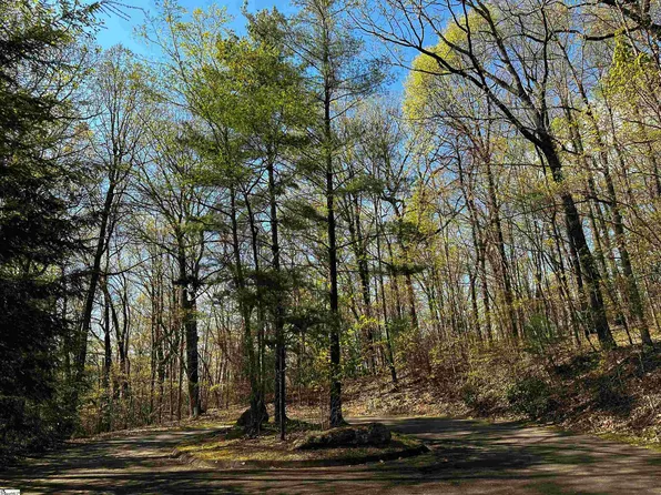 273 Delphinium Ct, Cleveland, SC 29635