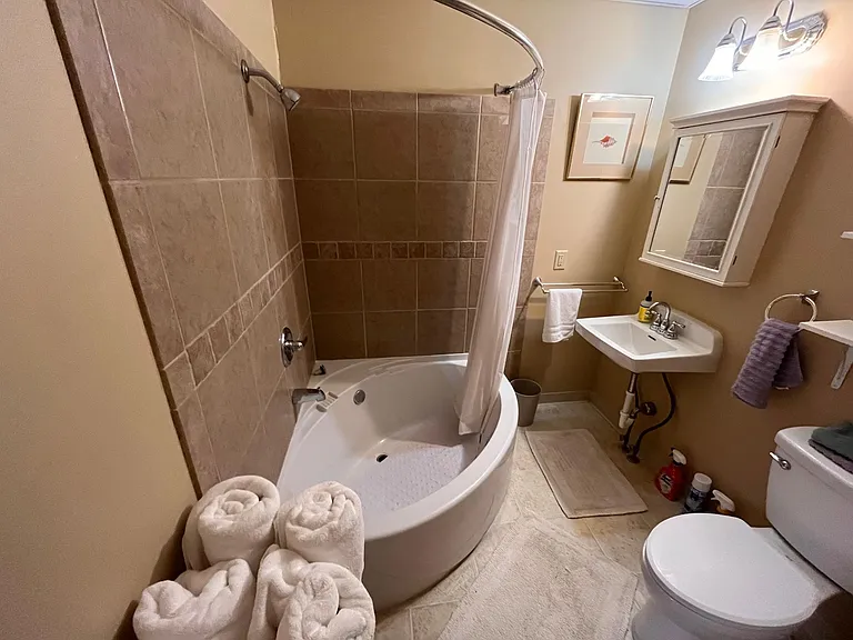 ROMAN TUB WITH SHOWER