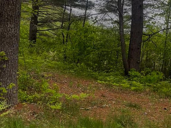 2nd image of 4422 Bennoch Road