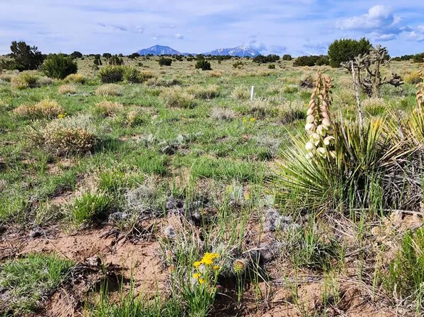 94 Rio Cucharas, Walsenburg, CO 81089