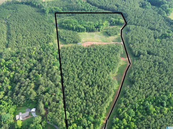 576 Highway 61 #0, Columbiana, AL 35051