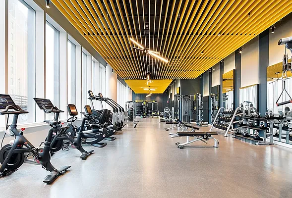 Rented by The Dermot Realty Management Company | media 18