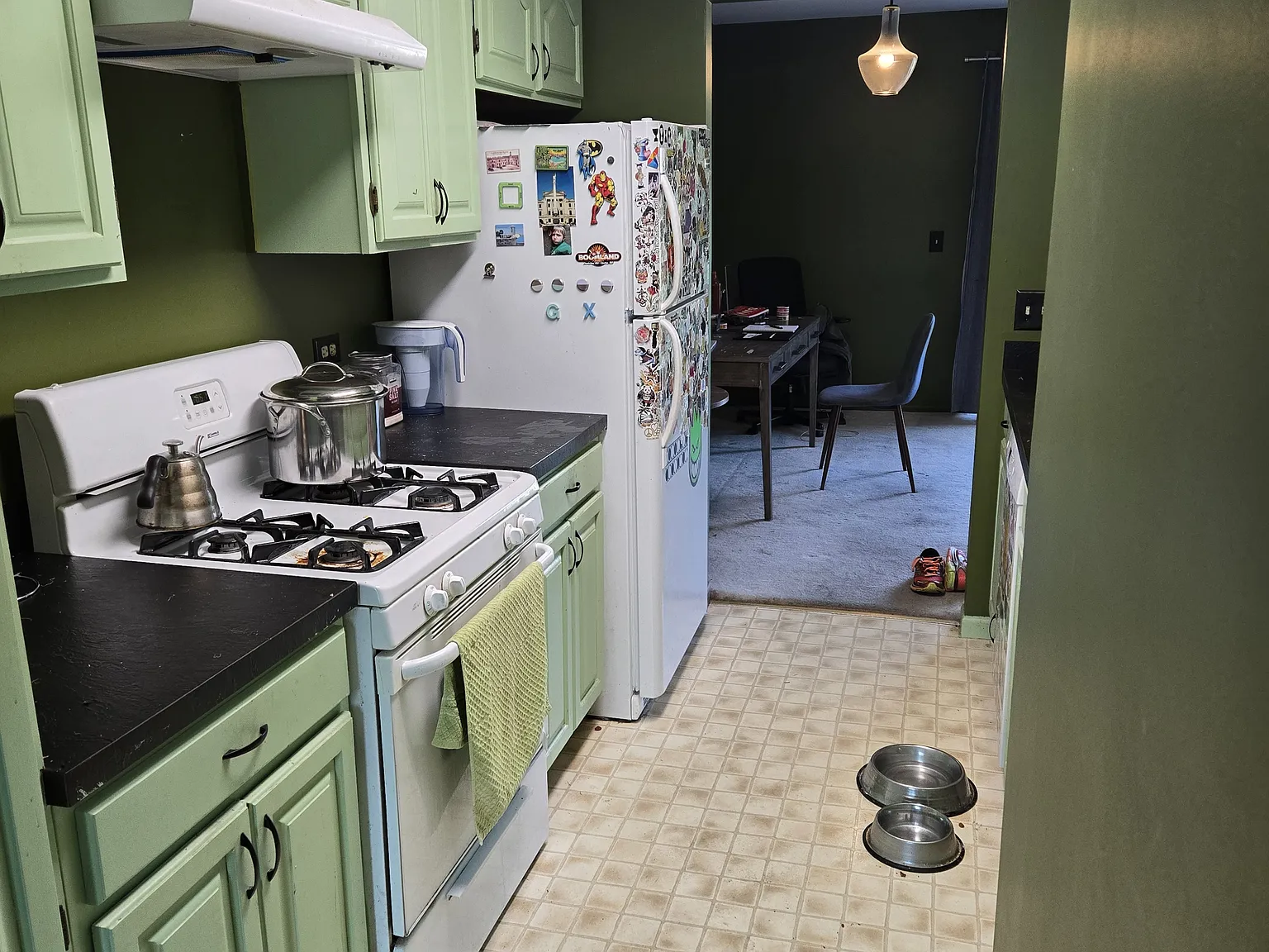 Shakespeare Dr, Grayslake — Photo 3