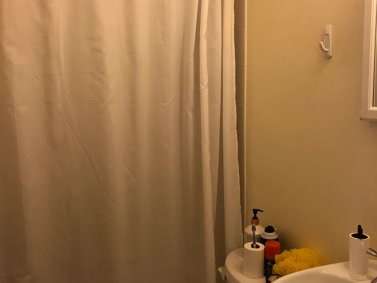 3 bed, 9999 sqft, $5,200 — Photo 3
