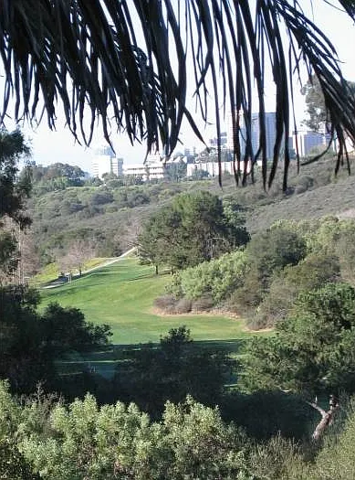 View of Golf Course