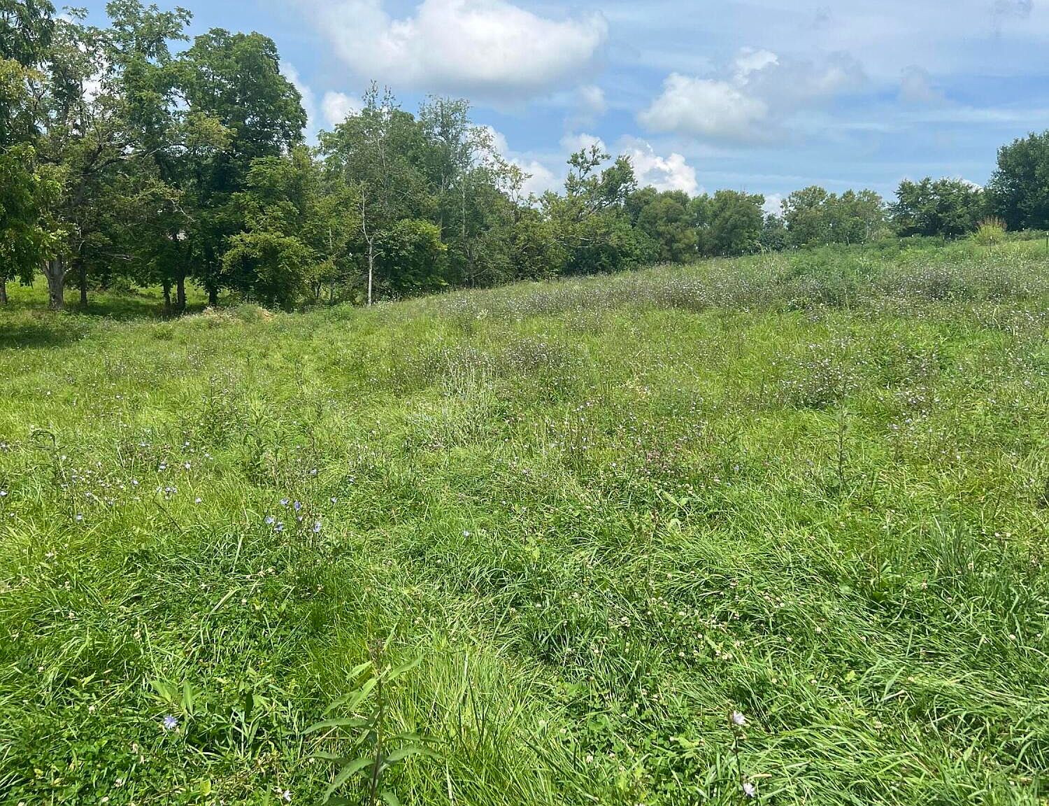 Track 4 Willis Branch Rd, Richmond, KY 40475 MLS 23015000 Zillow