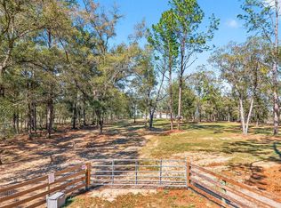 10427 NW 8th Ln, Ocala, FL 34482