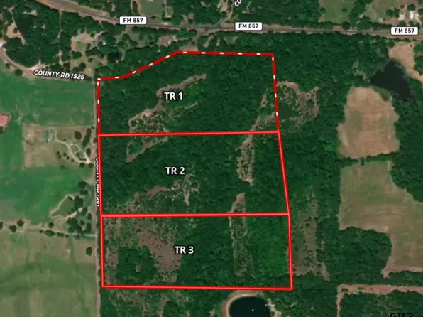 TRACT 1 Vz County Road 1507, Grand Saline, TX 75140