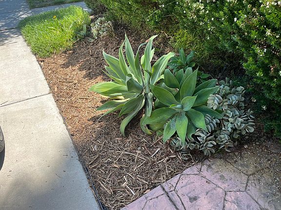 Driveway side planting area