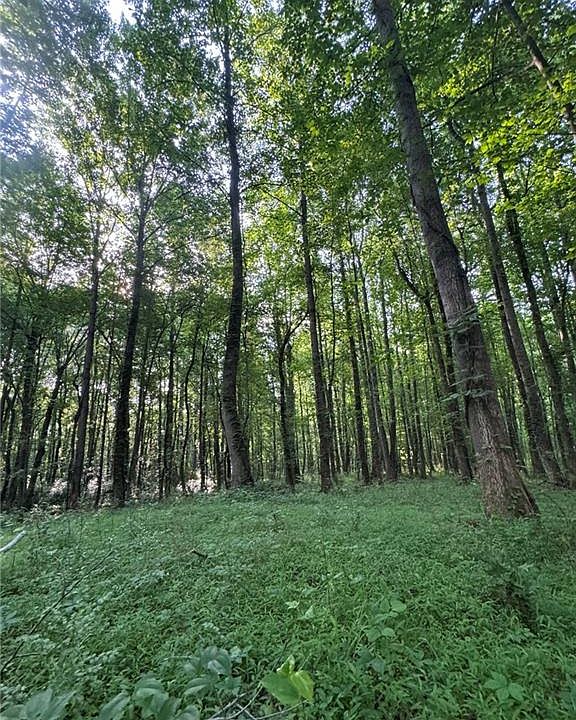 TRACT 1 Old Mill Rd, Easley, SC 29642 Zillow