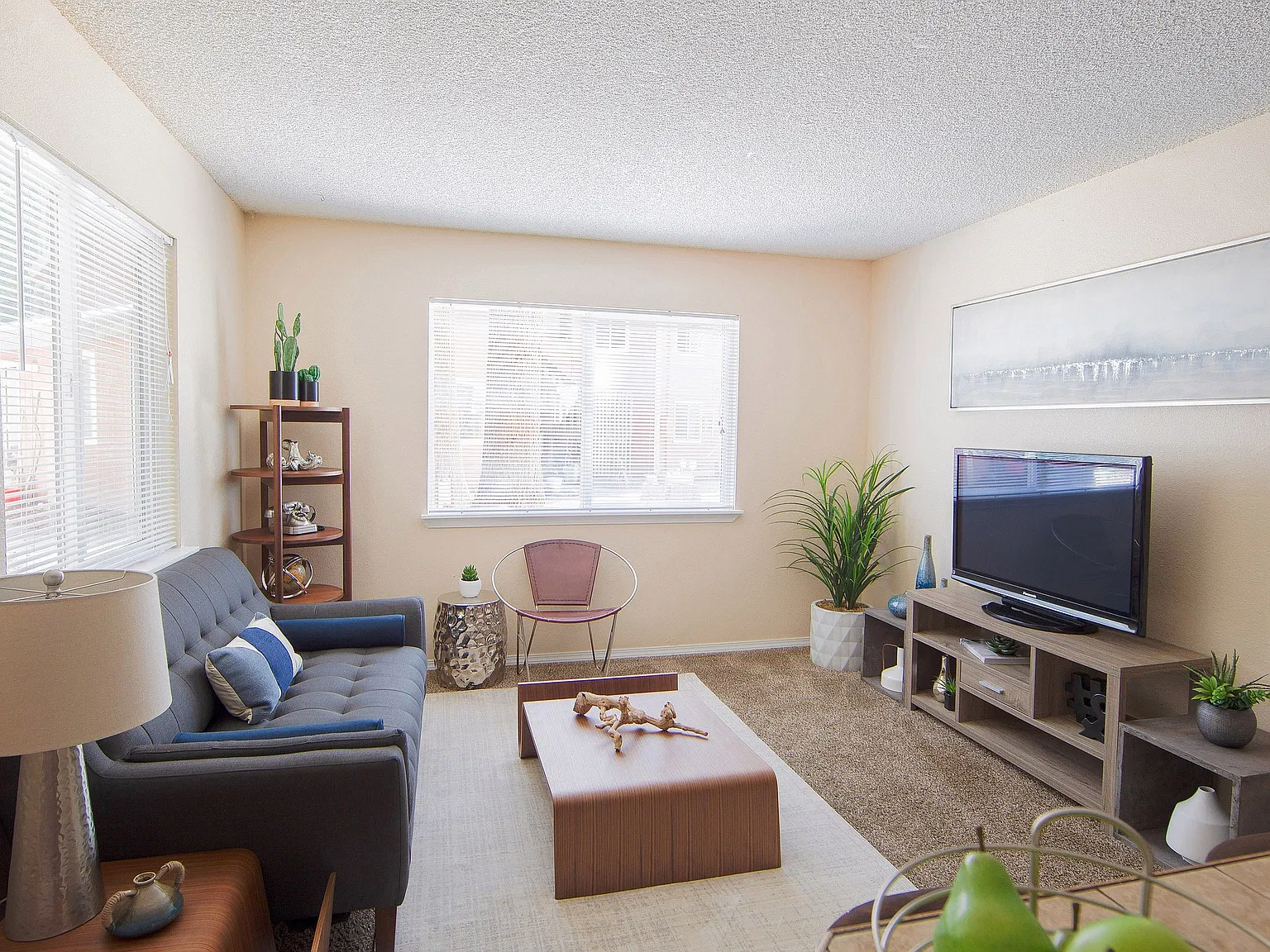 ReNew Evergreen — Photo 4