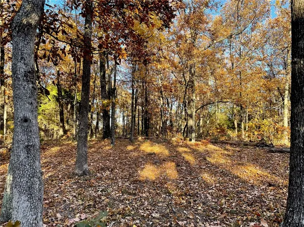 0 Plumlee Rd, Compton, AR 72624