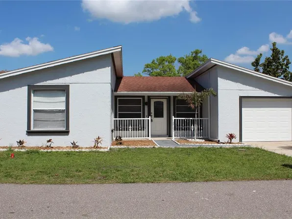 10115 Wheatley Hills Ct, Tampa, FL 33615