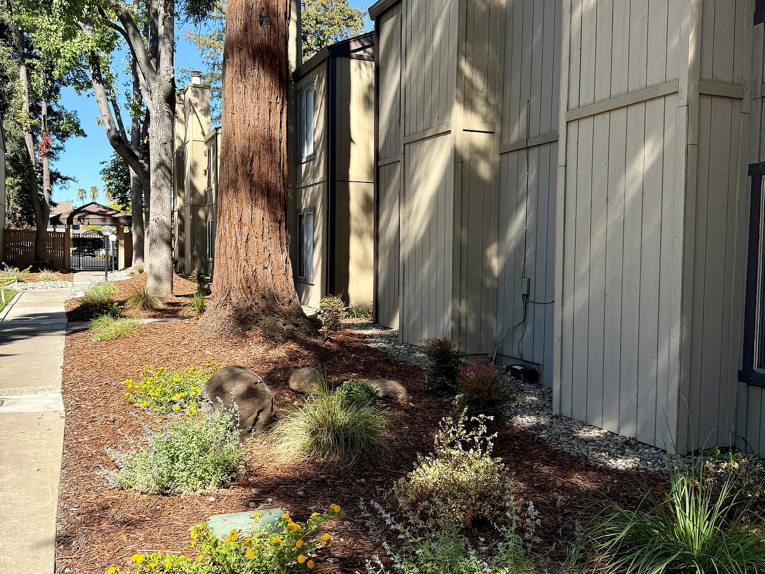 Sierra Woods Apartments — Photo 2