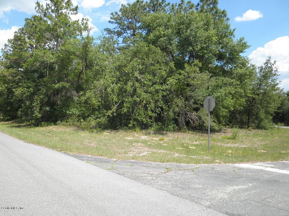 1st image of 11137 N Morrell Dr