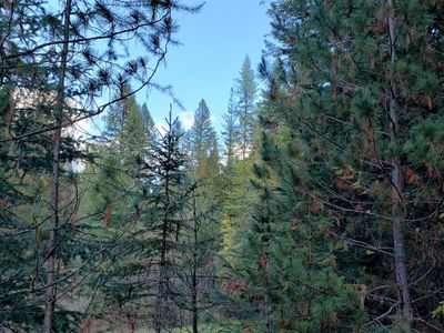 3978 Old Garvey Rd, Colville, WA, 99114