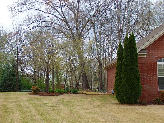 Side Yard