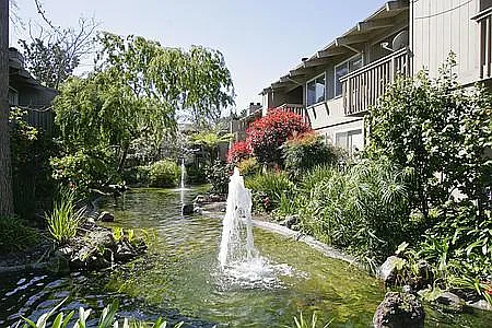 Willow Springs Apartments — Photo 21