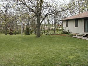view of back and yard