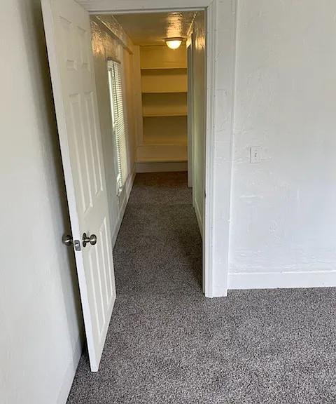 242 Chapel St #3 — Photo 15