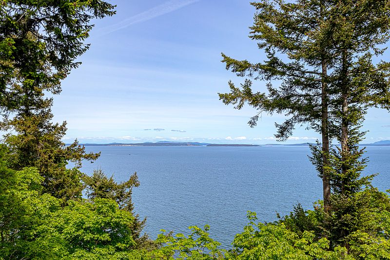 Saanich House for rent - 3 Bedrooms — photo 60