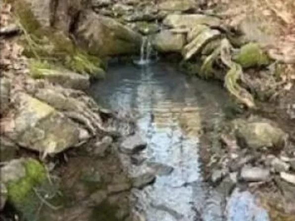 (undisclosed Address), Oark, AR 72852