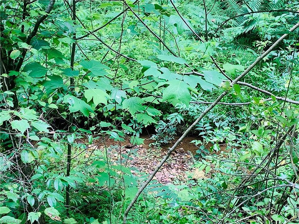 1st image of 0 Forest Oaks Dr