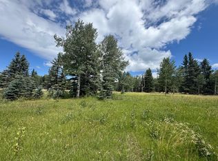 80 El Camino Real, Angel Fire, NM 87710