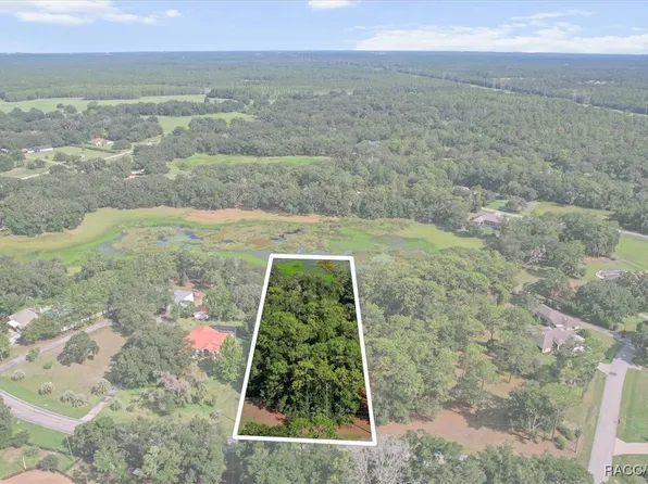 9392 W Emerald Oaks Dr, Crystal River, FL 34428