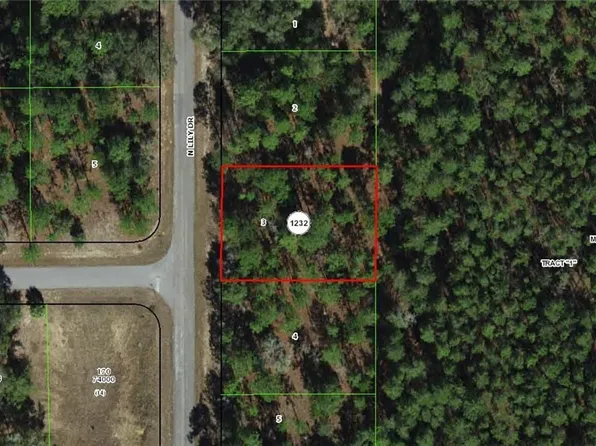 9651 N Lily Dr, Citrus Springs, FL 34434