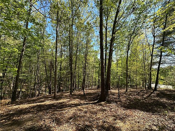 4th image of 534 Ginseng Dr