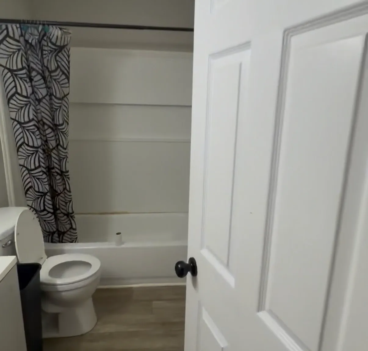 2 bed, 800 sqft, $1,550 — Photo 4