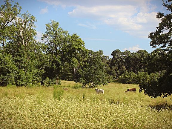 5th image of 1723 County Road 4680
