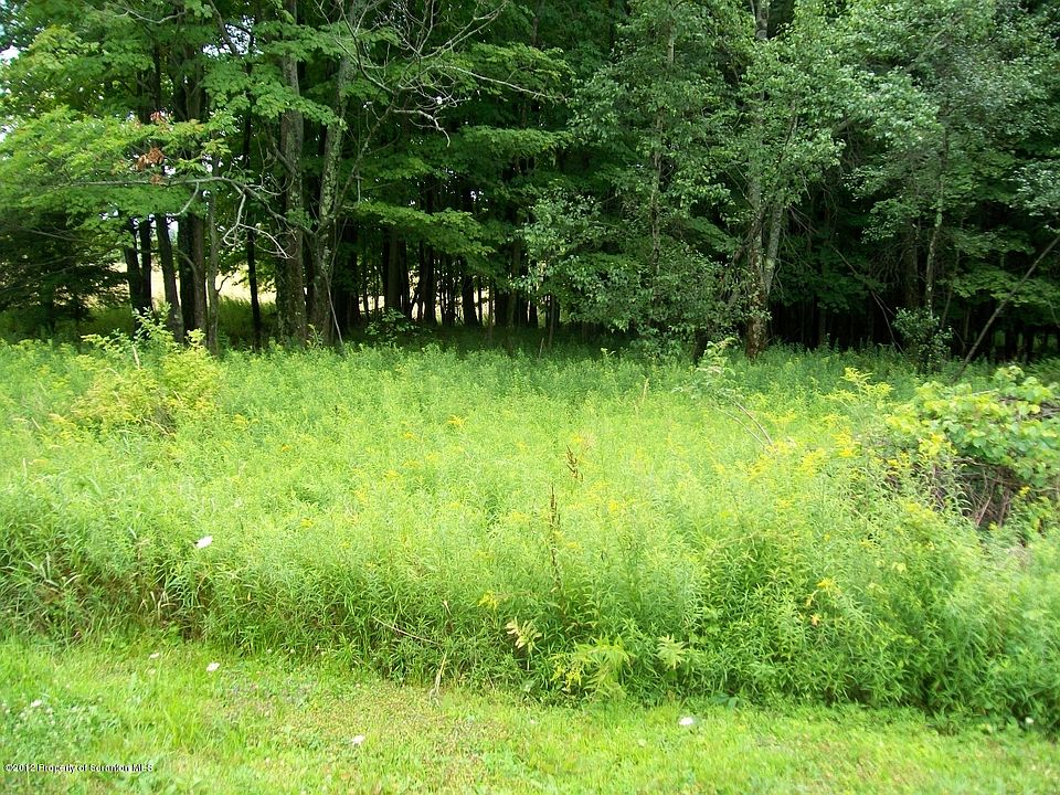 2nd image of Torrey Rd