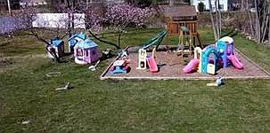 Huge Backyard! Swingset Included