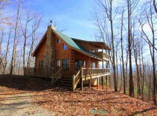 541 Little Bushy Head Rd #3, Blue Ridge, GA 30513