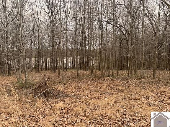 2nd image of 186 Major Wallace Rd Lot 8-9-10