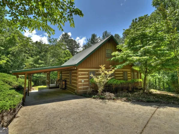 56 Little Creek Dr, Cherry Log, GA 30522