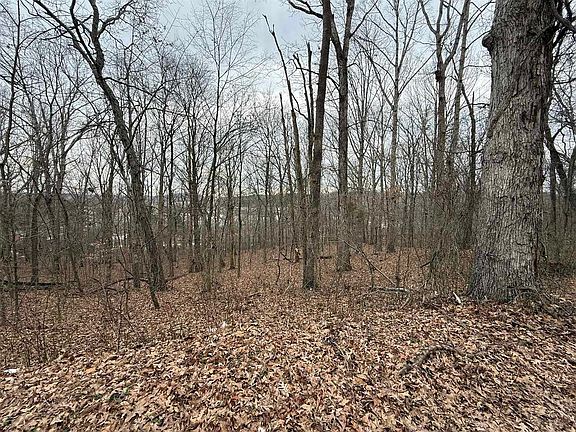 5th image of 0 Pitcher Rd S