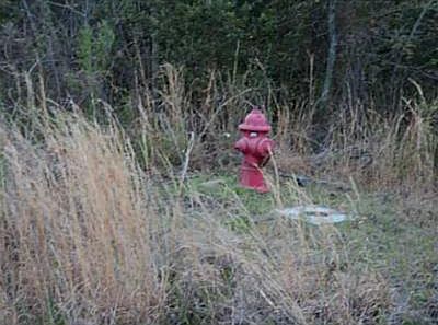 4th image of 113 Dogwood Dr