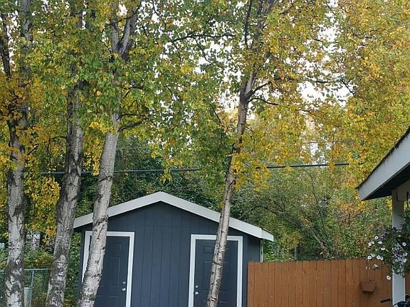 Storage Shed