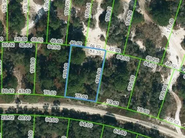 444 Morningside Dr #88, Lake Placid, FL 33852