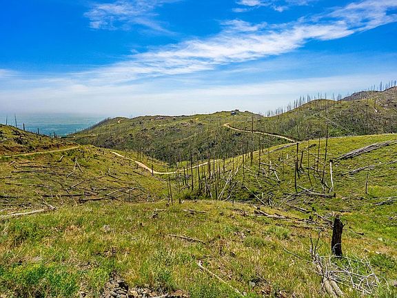 2nd image of 1600 Whale Rock Rd