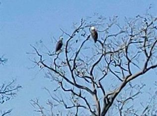 254 Cotton Hill Rd, Livingston, TX 77351