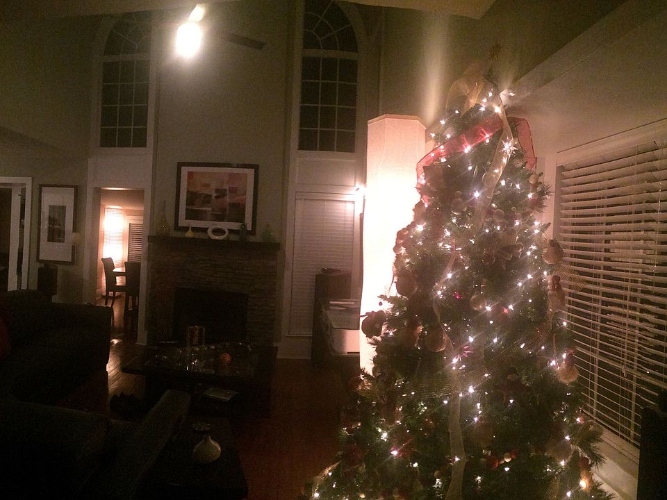 1st image of 1251 Vintage Pointe Dr