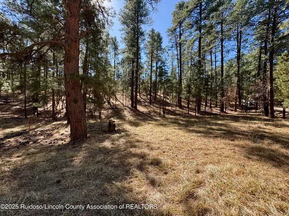 106 Incredible Ln, Alto, NM 88312