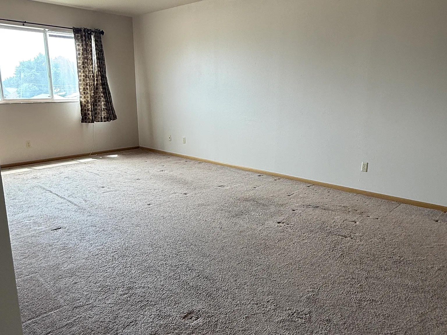 2 bed, $850 — Photo 2