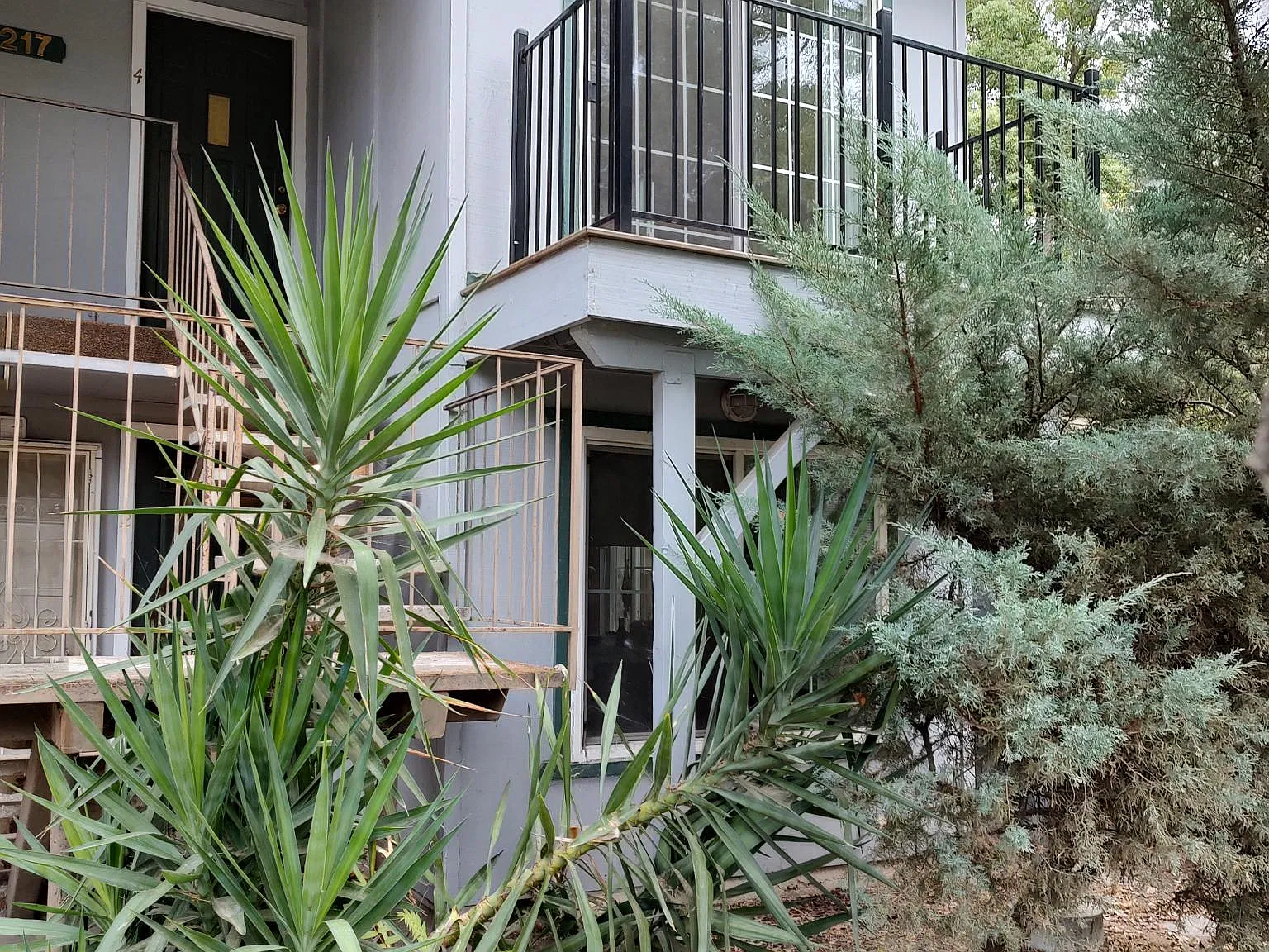 2 bed, 800 sqft, $1,745 — Photo 1